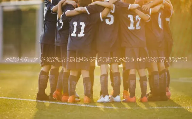 南宫体育极氪智能科技足球运动员何龙海所属区域揭秘: 你不知道的足球明星何龙海的背景信息