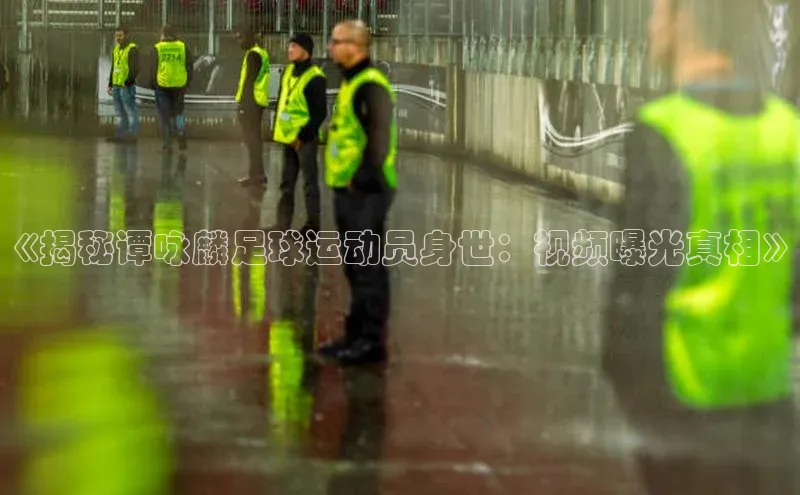 ng28相信品牌的力量登录入口百度手机卫士《揭秘谭咏麟足球运动员身世：视频曝光真相》