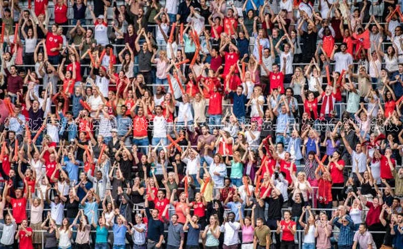 ng28苹果下载百度翻译揭秘大家最讨厌的足球运动员，他们在球坛上引发的争议和热议