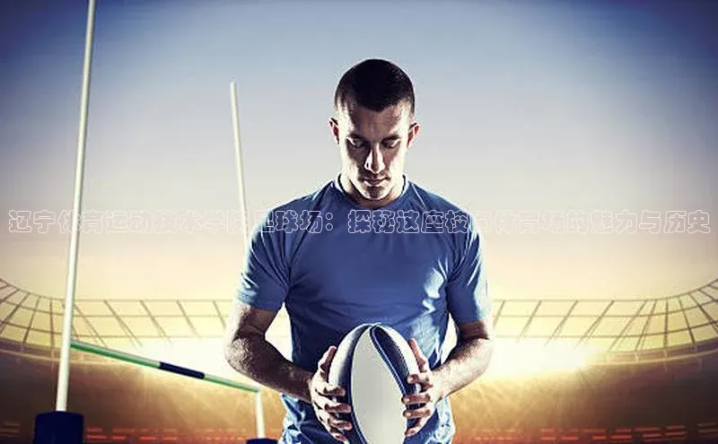 NG28官网入口链接百度百聘辽宁体育运动技术学院足球场：探秘这座校园体育场的魅力与历史