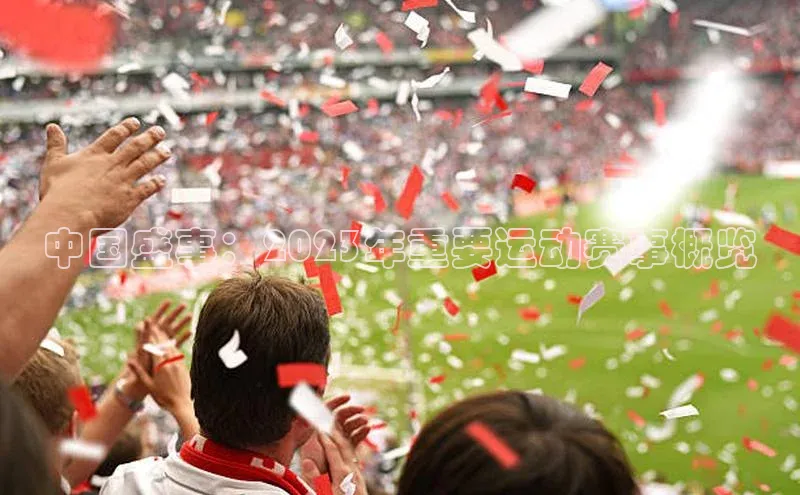 ng28南宫娱乐平台下载普信公司中国盛事：2023年重要运动赛事概览