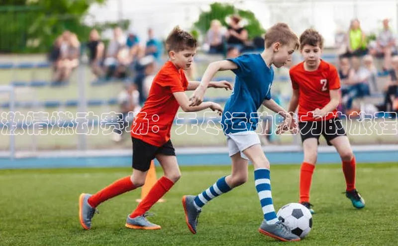 ng28苹果下载百度翻译激情燃动赛场：无尽运动魅力的旅程