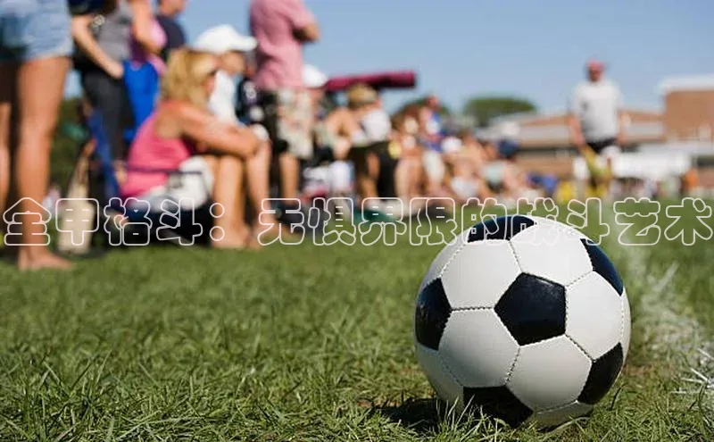 全甲格斗：无惧界限的战斗艺术