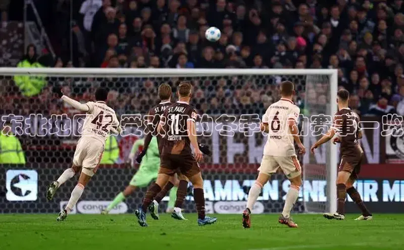 东北地区最受欢迎的冬季运动赛事一览