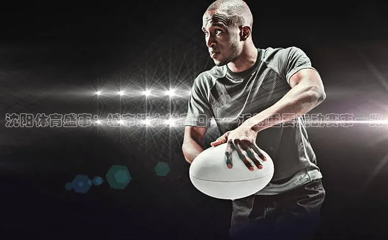 沈阳体育盛事：城市活力的窗口——近期重要运动赛事一览