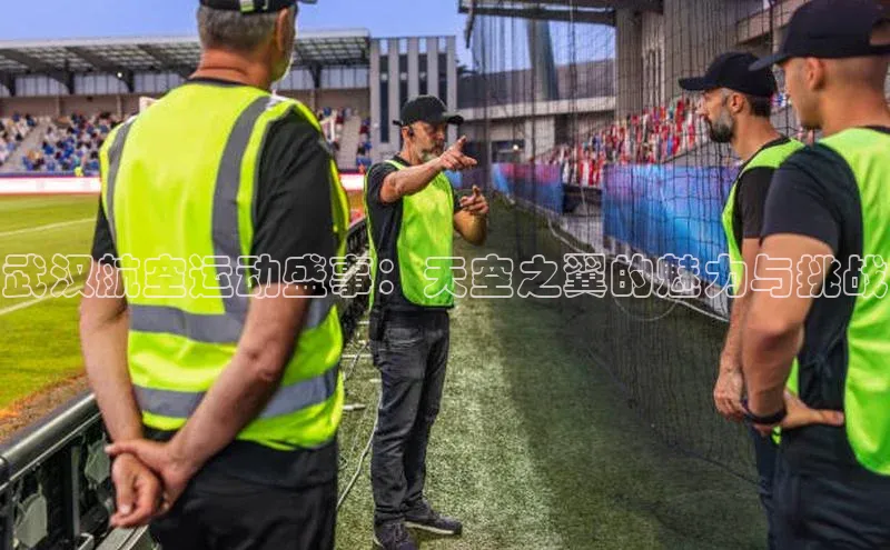 武汉航空运动盛事：天空之翼的魅力与挑战