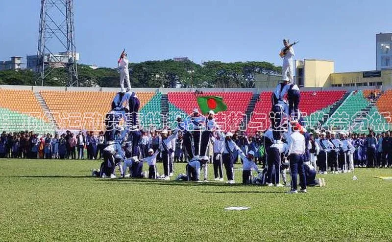 ：顶级运动赛事的奖金结构与选手收益分析