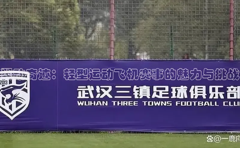 翼动奇迹：轻型运动飞机赛事的魅力与挑战