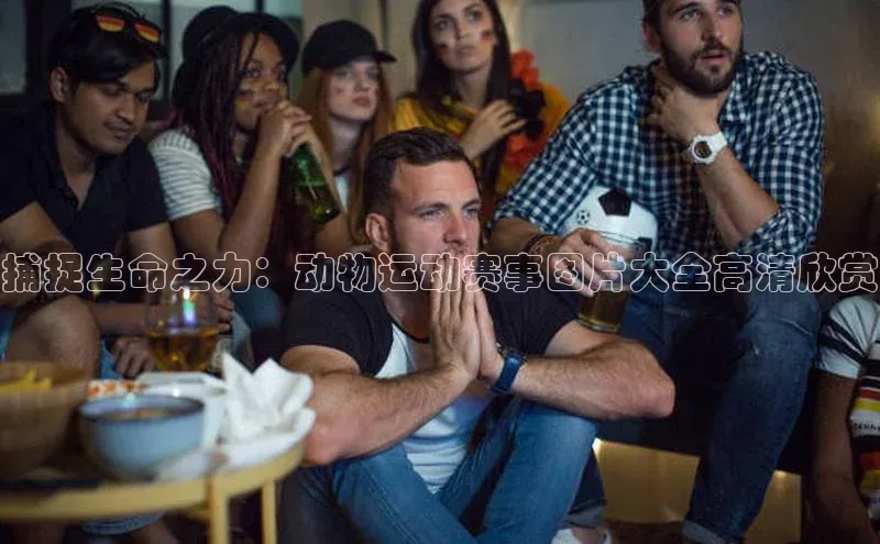 捕捉生命之力：动物运动赛事图片大全高清欣赏