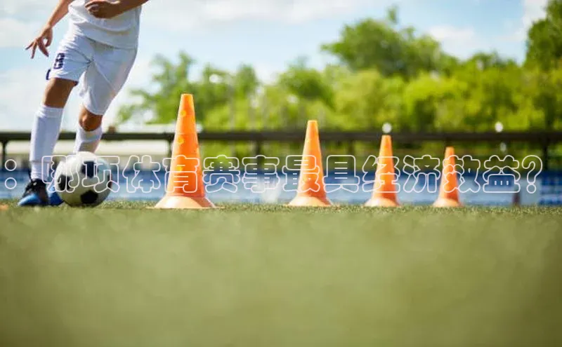 ：哪项体育赛事最具经济效益？