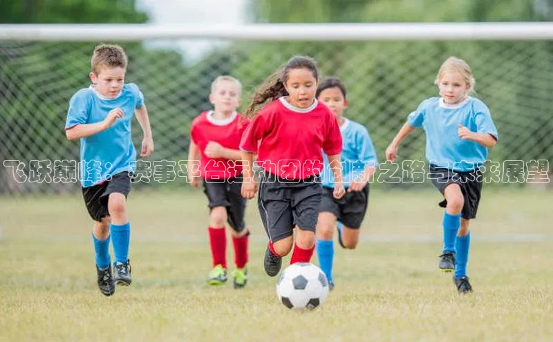 飞跃巅峰：赛事平台运动团的创新之路与未来展望