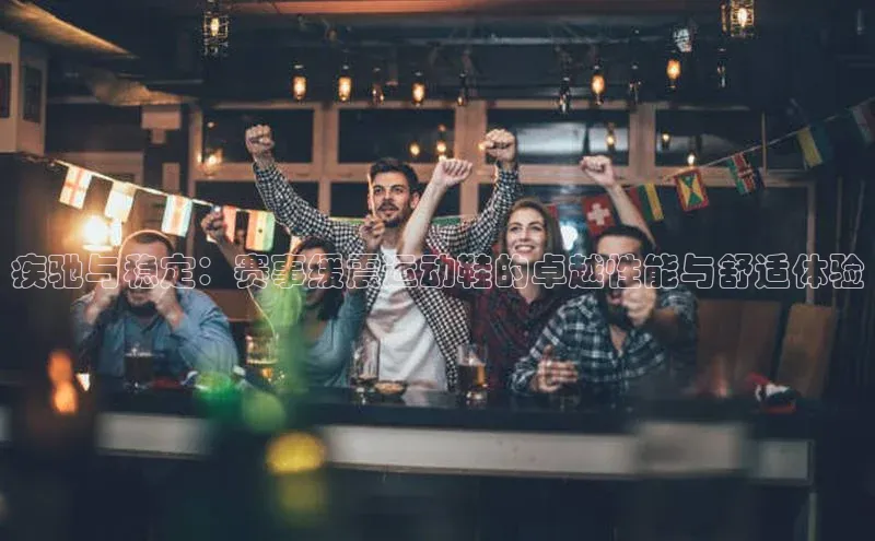 疾驰与稳定：赛事缓震运动鞋的卓越性能与舒适体验