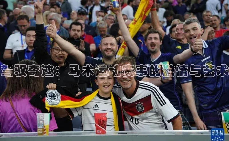 驾驭奇迹：马术运动赛事的激情与艺术