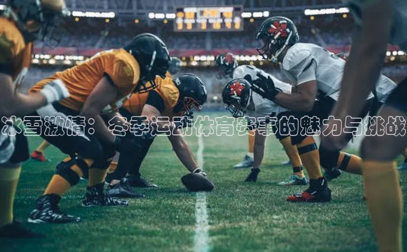 冰雪激情：冬季运动体育赛事的魅力与挑战